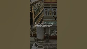لو أنزلنا هذا القرآن على جبل من سورة الحشر بصوت الشيخ هيثم الدخين