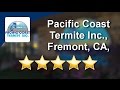 Pacific coast termite inc fremont ca united states fremont great 5 star review by lisa a