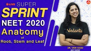 Plant Anatomy - Root, Stem and Leaf | Sprint | Biology | NEET 2020 | Vani Ma'am Vedantu VBiotonics