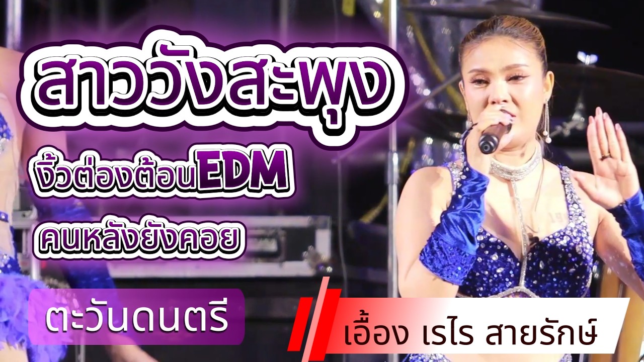 #สาวเลยบ่เคยขี้ค้าน สาววังสะพุง - งิ้วต่องต้อน เอื้อง เรไร สายรักษ์ ซาวด์แน่นๆ ตะวันดนตรี