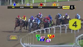 Vidéo de la course PMU PRIX EMPEROR MAX 2014 STAKES - CLASS 5 (2ÈME PELOTON)