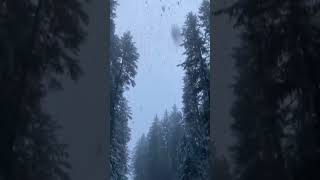 CALMNESS  MELODY     snow rims already #calmness #christmas #rain #peace #meditation #relaxing