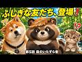 【秋田犬と子猫】あの葉っぱの山、もぞもぞ動いて…｜ゲンとモカ 第5話「森のいたずら者」