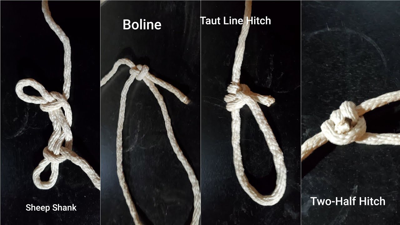 Knots Sheep Shank, Boline, TwoHalf Hitch, Taut Line Hitch YouTube