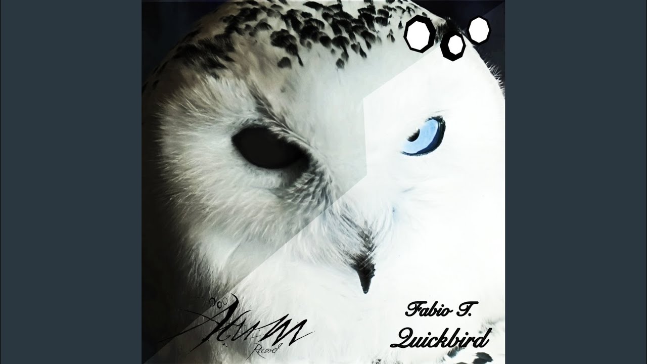 Ver Quickbird (Original Mix) en YouTube Ver Quickbird (Original Mix) en YouTube