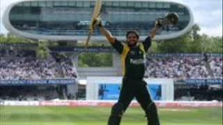 Cricket Funda screenshot 1