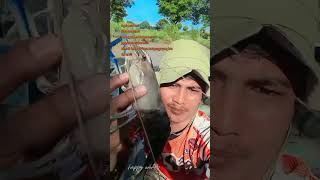 Mancing Udang babon #cokong #mancing #fishing #lobster #kolamlobster #mancingmania #djremix