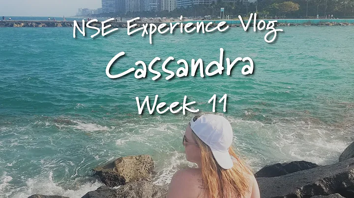 Cassandra NSE Vlog - Week 11