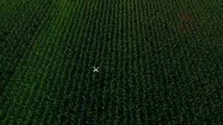 Agriculture Crop Scouting By UAV