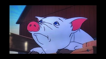 My Reaction That Skype Got Shutdown May 5 2025