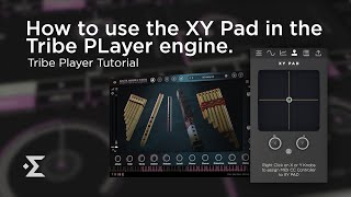 Quick Tutorial: How to use the XY Pad in the TRIBE Player engine (Bonus iPad app). screenshot 2