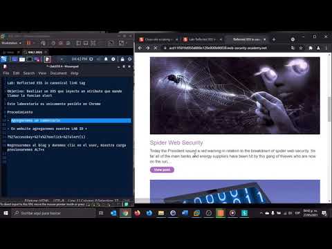 Lab Reflected XSS