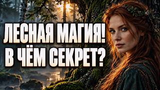 Forest Magic: What Lies Behind the Mystery of the Forest and Its Master? #magic #forest #witch