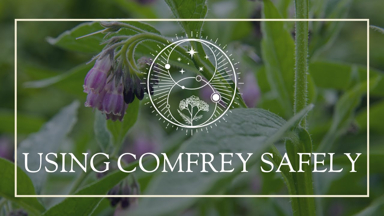 Using Comfrey Safely