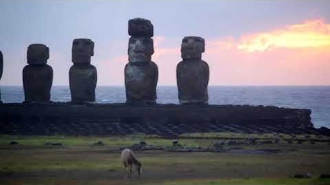 Unit 6 Documentary (Do you like nature?) Evolve 1 VRB _ A1 level