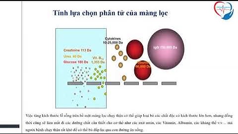 Công văn về chứng chỉ hành nghề thận nhân tạo