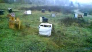 Simama 22-11-09  05