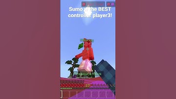 Sumo w the BEST CONTROLLER PLAYER!