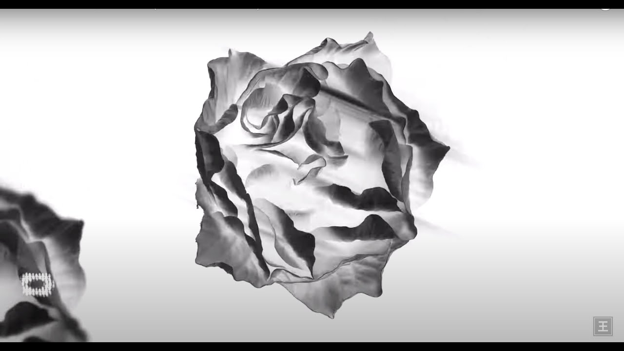 REFLECTIONS Release New Track "Cicada"