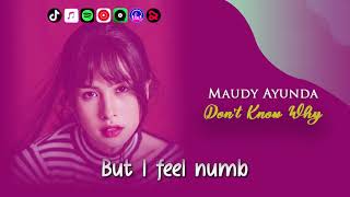 Don’t Know Why - Maudy Ayunda [Video Lirik]