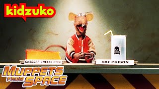🐀 Rizzo Becomes a Lab Rat! 😭 | Muppets From Space | @Kidzuko
