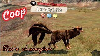 the wolf - Kitsune Champion ❗#thewolf