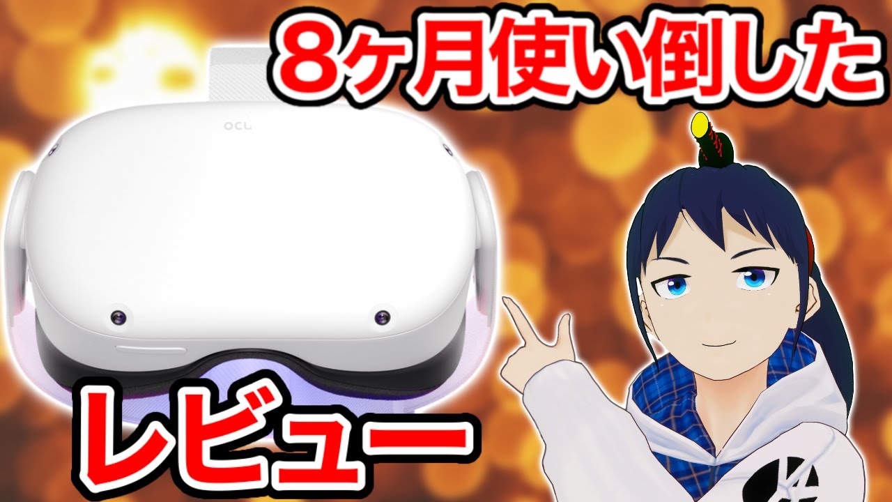 レビュー】Oculus Quest 2を8ヶ月使い倒して分かったこと3選