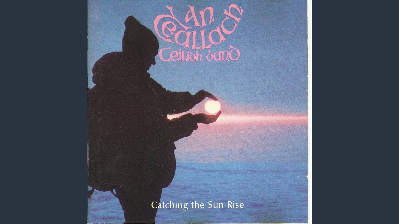 The Yellow On The Broom