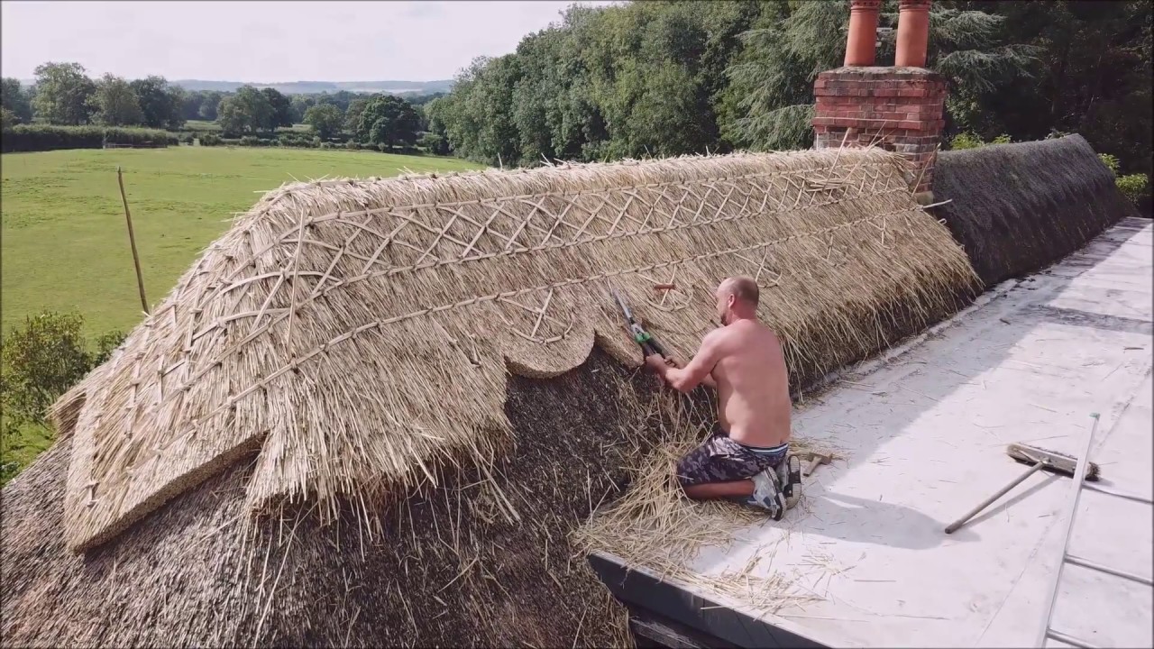 Thatching A New Ridge - YouTube