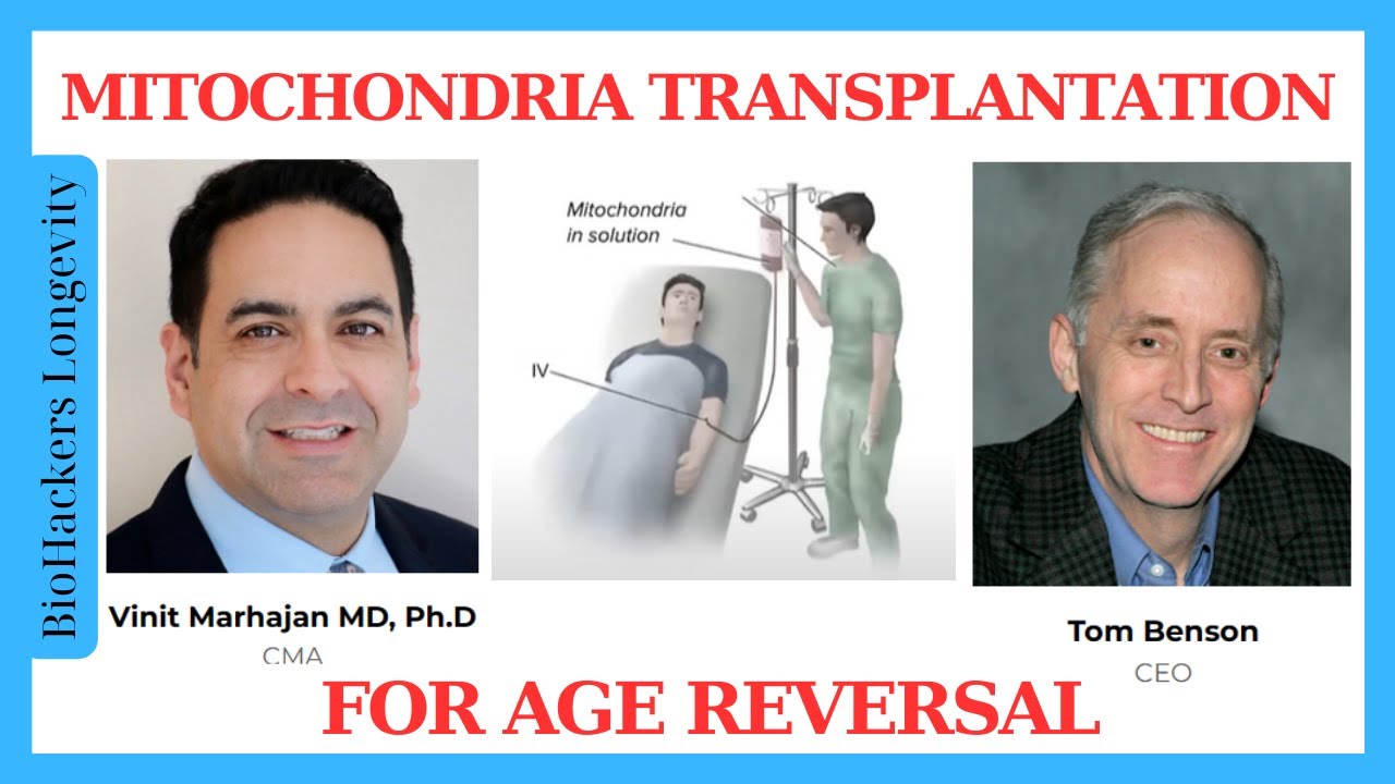 Mitochondria Transplantation Therapy for Age Reversal/ Vinit Mahajan & Tom Benson