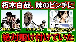 朽木白哉の微笑まし過ぎるシスコンエピソードまとめてみた 不器用な兄様が最高すぎる話をまとめてみた ブリーチ考察 Youtube