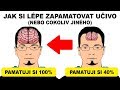 TOP 10 JAK SI LÉPE ZAPAMATOVAT UČIVO nebo cokoliv jiného