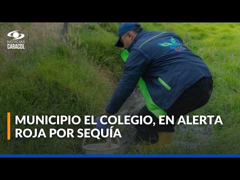 Alerta roja por sequía en El Colegio, Cundinamarca, por los efectos del fenómeno de El Niño