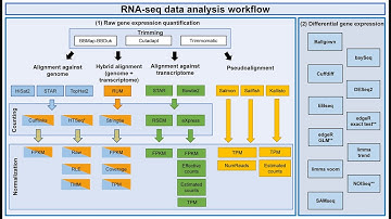 Comparing RNA Sequencing Pipelines via qRT-PCR