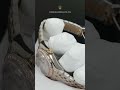 Lady Datejust Style Watch Elegant Design Diamond Details Swiss Movement Lady Datejust Style Watch Elegant Design Diamond Details Swiss Movement