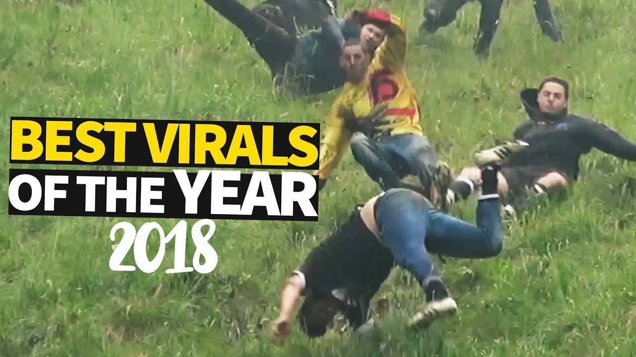 Nervesammenbrud Kompleks Resultat Top 40 Viral Videos of the Year 2018 - YouTube