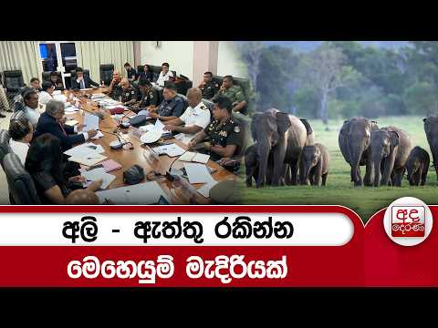 අලි - ඇත්තු රකින්න මෙහෙයුම් මැදිරියක් | Ada Derana