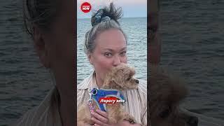 🔥Разгневанная #Гузеева ответила #Кудрявцева: «Спасибо за пиар, но память подводит!»💥 #Гузеева