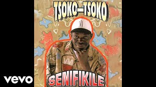Tsoko-Tsoko - Namilosa (Official Audio)