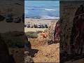 San Onofre CA instalando los desagües #subscríbete