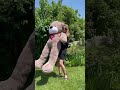 Монті 200 см Капучино