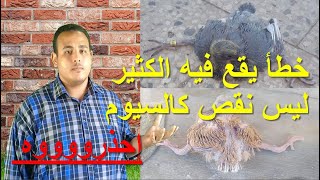 علاج كساح الزغاليل - علاج لين العظم عند زغاليل الحمام