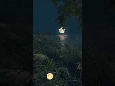 كشوق الليالي لضوء القمر ستوريات انستا حالات واتس تصميم فيديوهات قصيرة