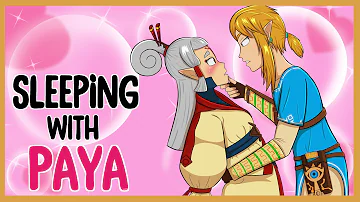 Who is Link's love interest in Botw?