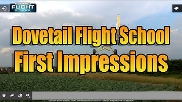 DOVETAIL FLIGHT SCHOOL - FIRST IMPRESSIONS
