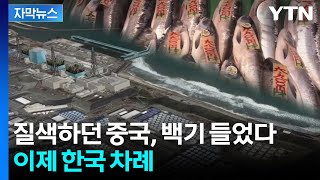 [자막뉴스] 일본에 한 수 접은 중국...한국의 선택은? / YTN