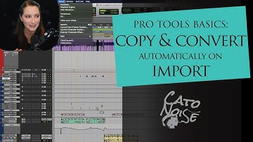 Pro Tools Preferences: Audio Import Settings to Make Your Session Run Smoothly