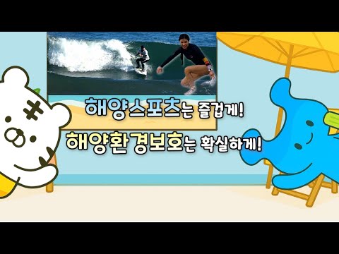 서핑(?) 해양스포츠를 즐겁게! 오늘 배울 종목은 서핑! (with 백호돌이 & 해공이)