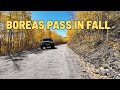 The Road That Vanishes in Gold - Boreas Pass in Fall