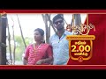 Matinee entertainment combo  promo 1